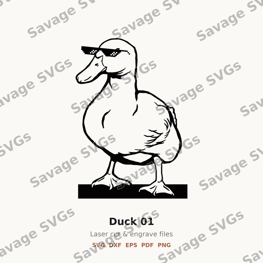 Duck 01