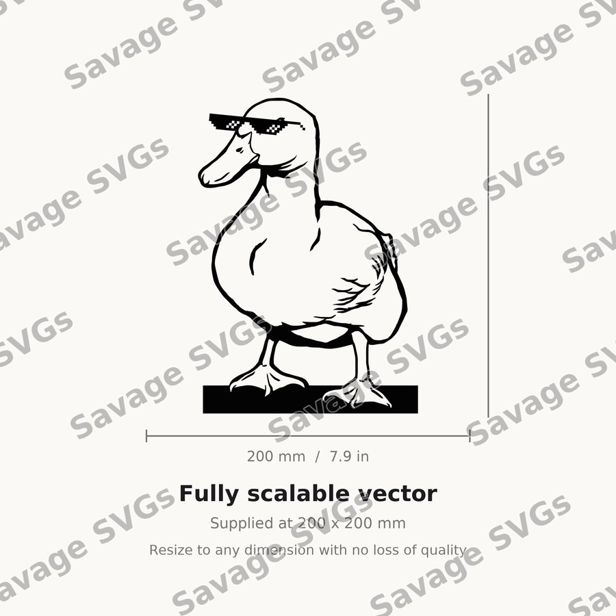 Duck 01