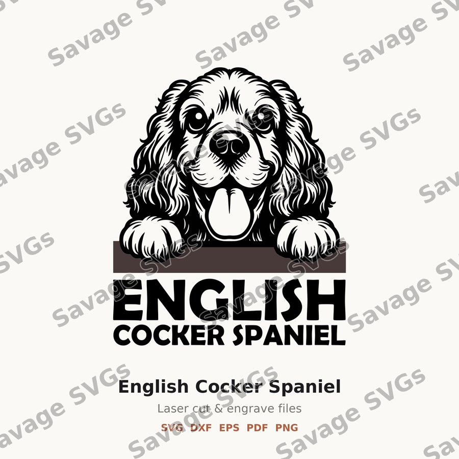 English Cocker Spaniel