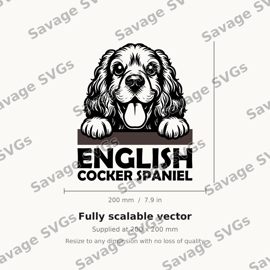 English Cocker Spaniel