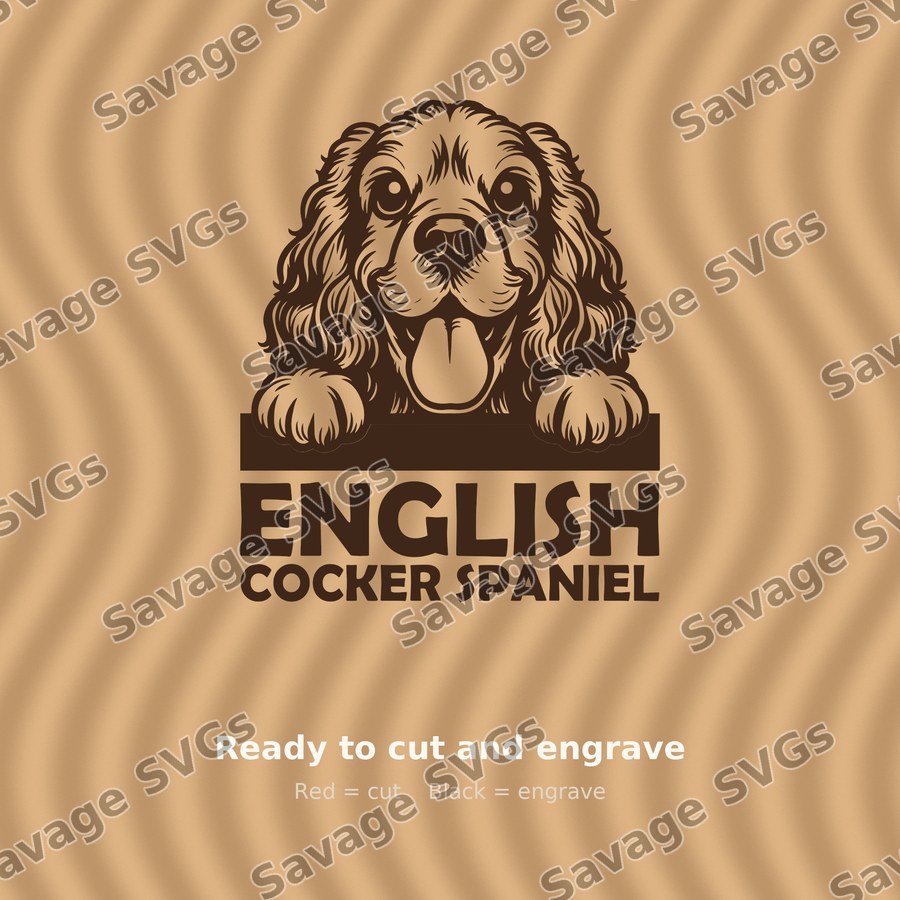 English Cocker Spaniel