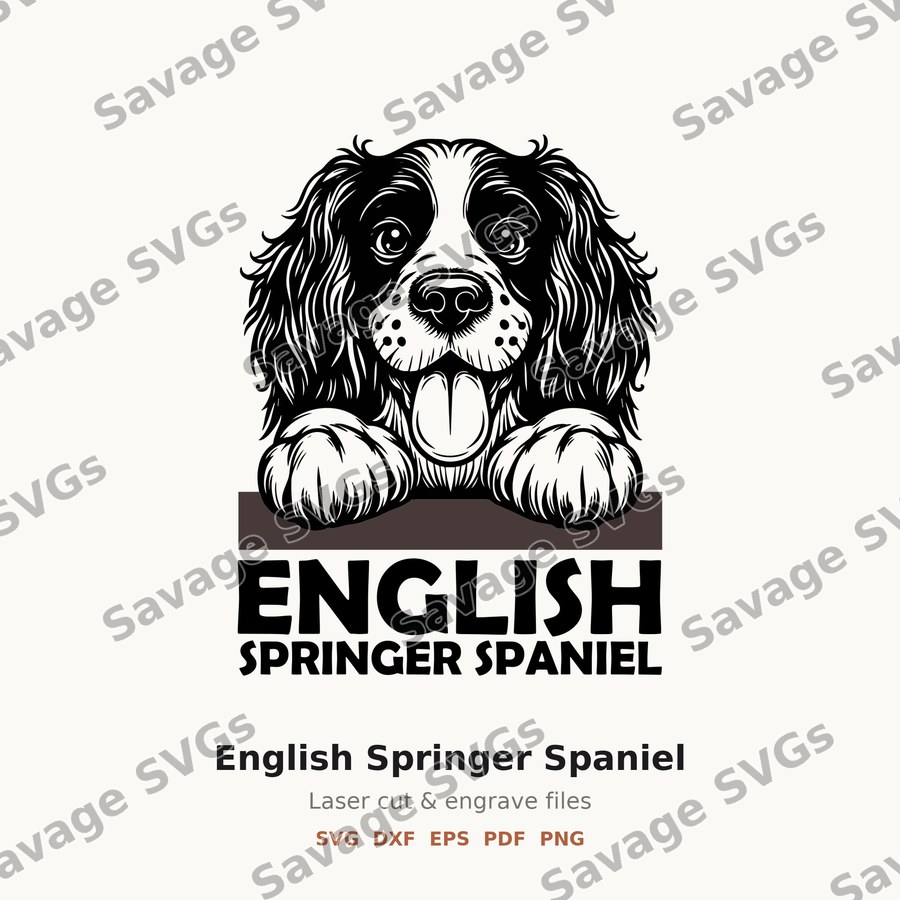 English Springer Spaniel