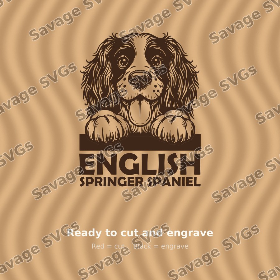 English Springer Spaniel