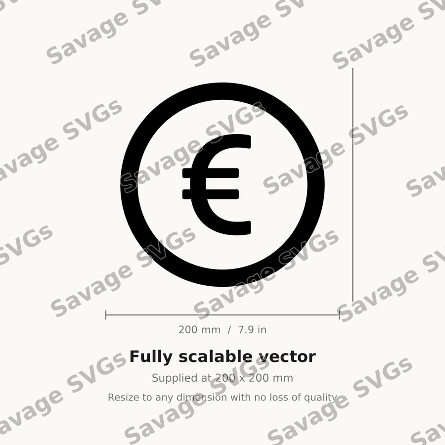 Euro Coin Icon