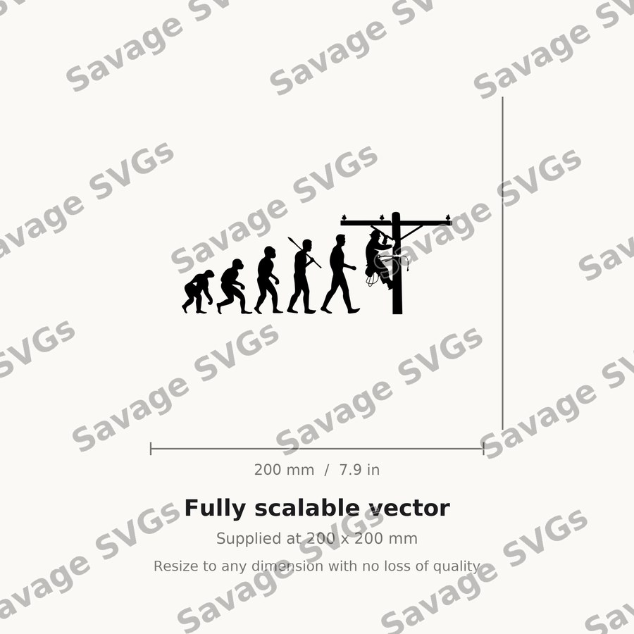 Evolution of Electrician
