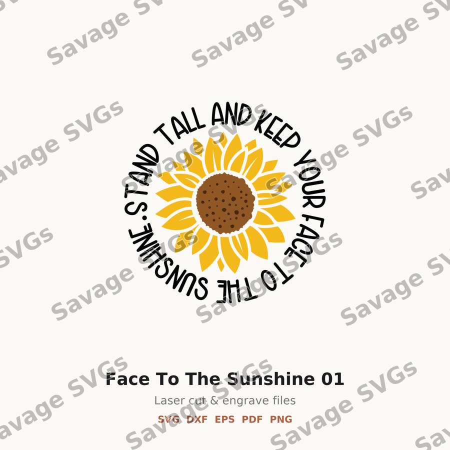 Face To The Sunshine 01
