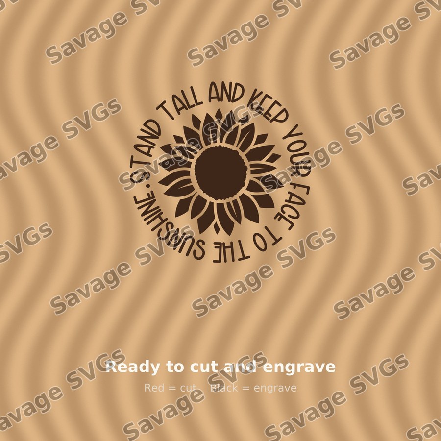 Face To The Sunshine 01