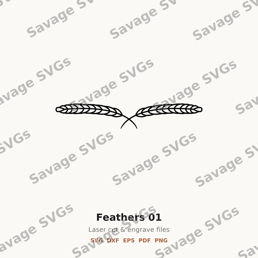 Feathers 01