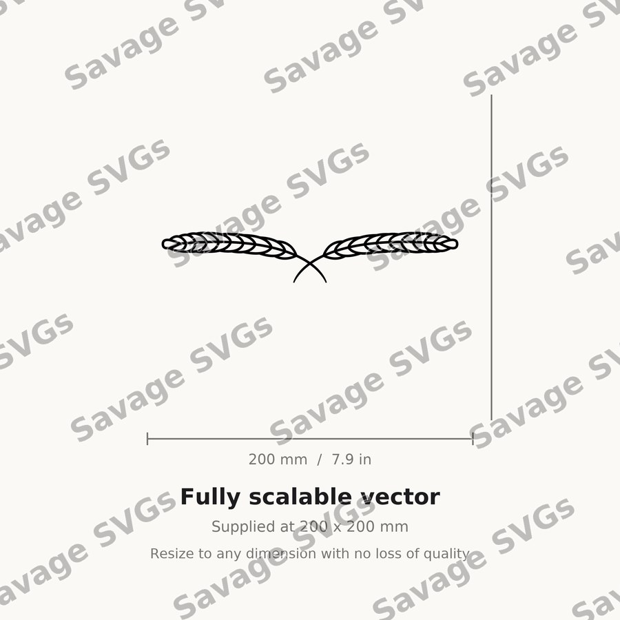 Feathers 01