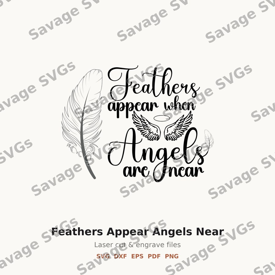 Feathers Appear Angels Near