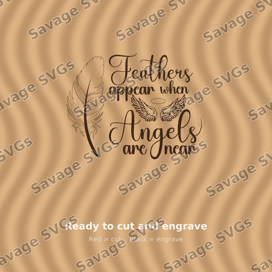 Feathers Appear Angels Near
