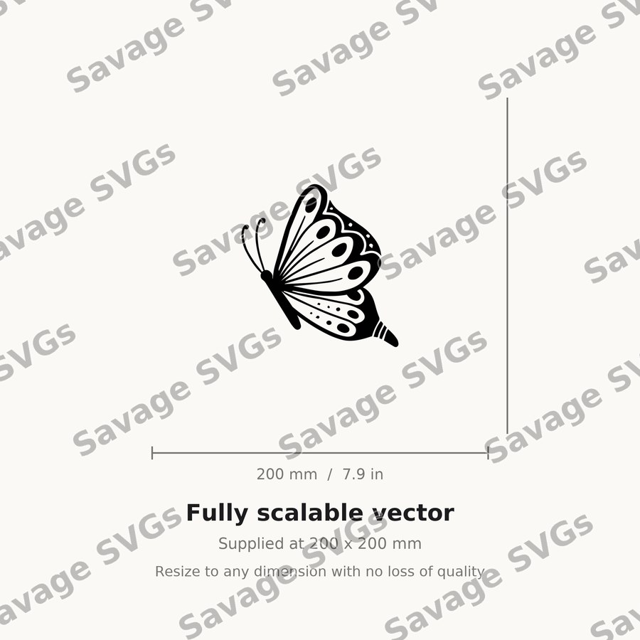 Flying Butterfly