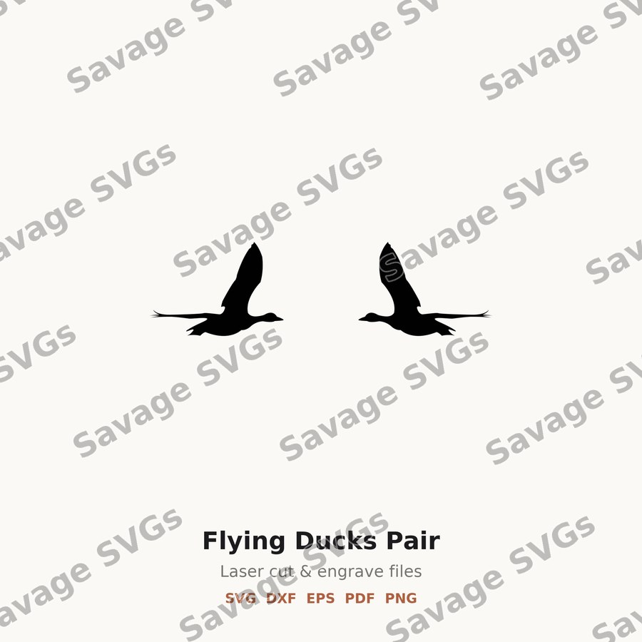 Flying Ducks Pair
