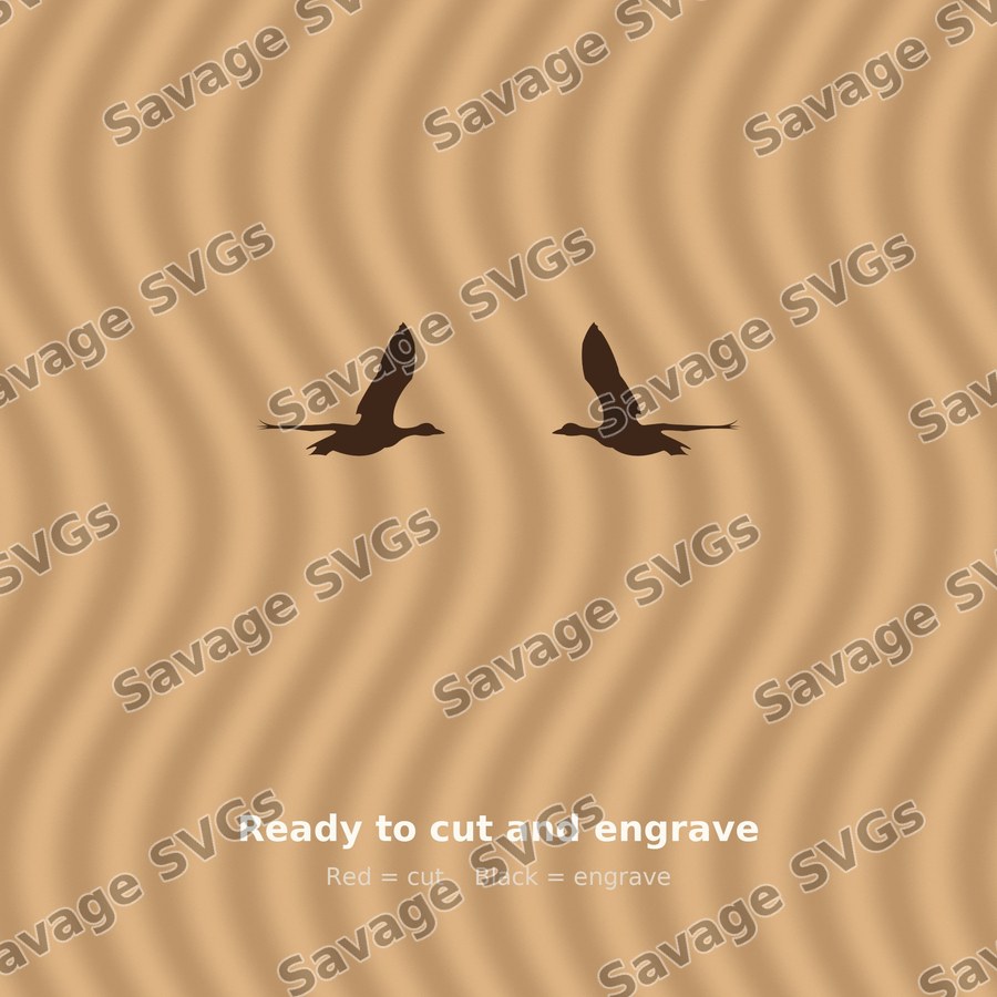 Flying Ducks Pair