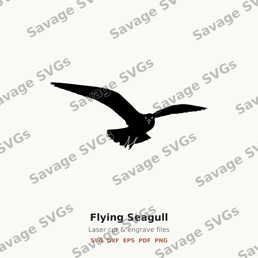 Flying Seagull