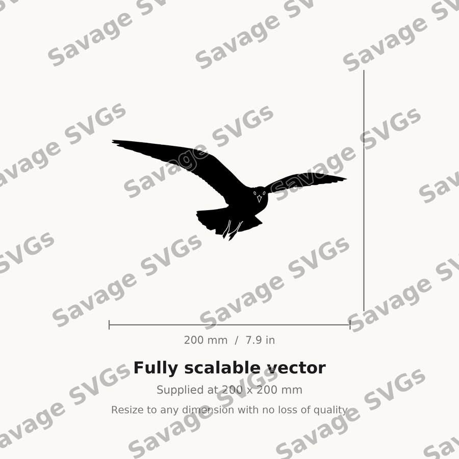 Flying Seagull