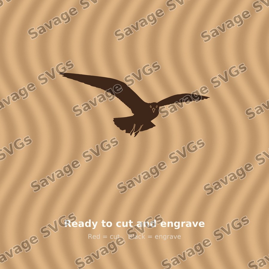 Flying Seagull