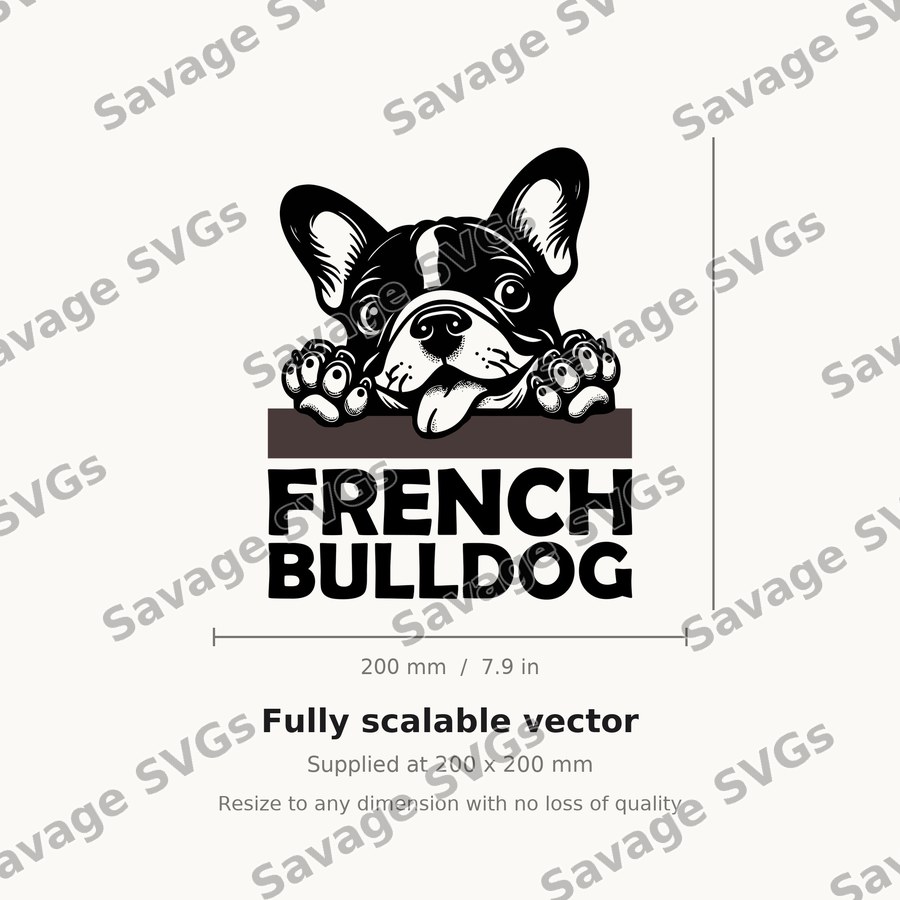 French Bulldog Peeking