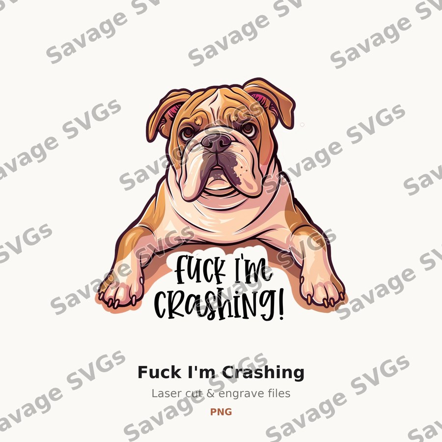 Fuck I'm Crashing