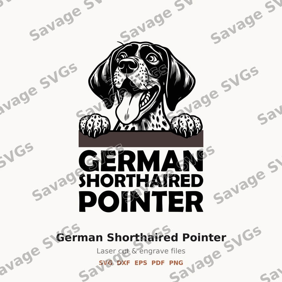 German Shorthaired Pointer