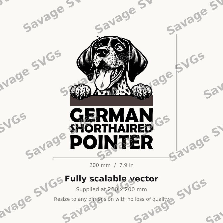 German Shorthaired Pointer