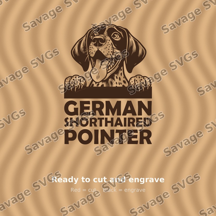 German Shorthaired Pointer