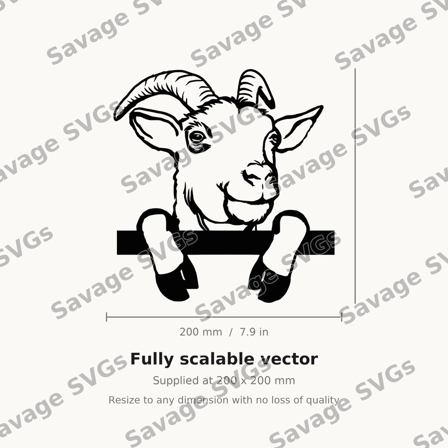 Goat 01