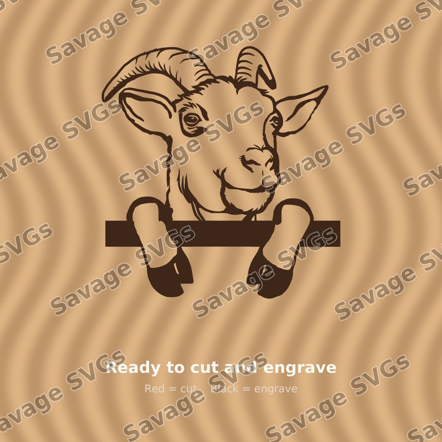Goat 01