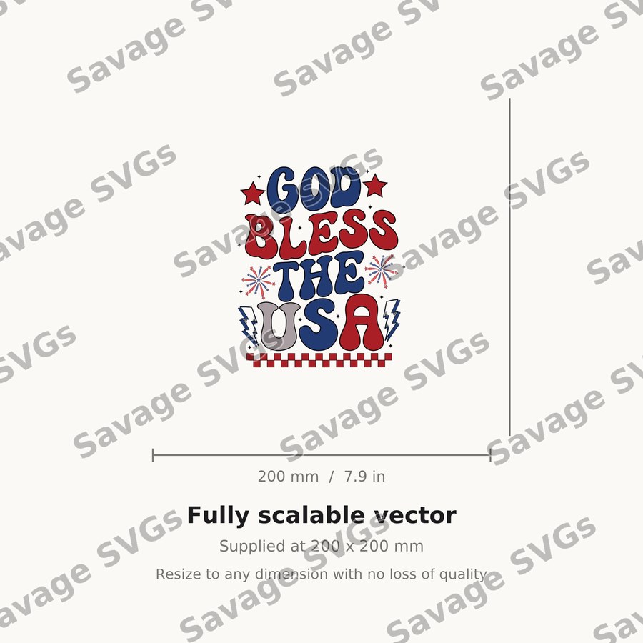 God Bless The USA