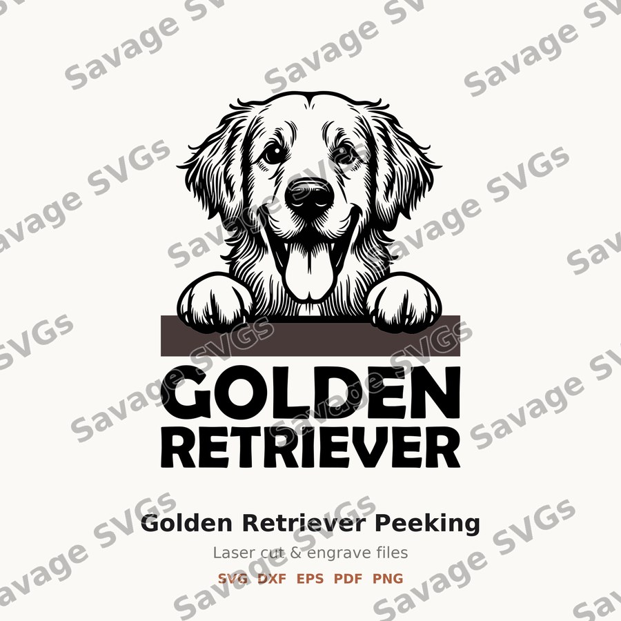 Golden Retriever Peeking