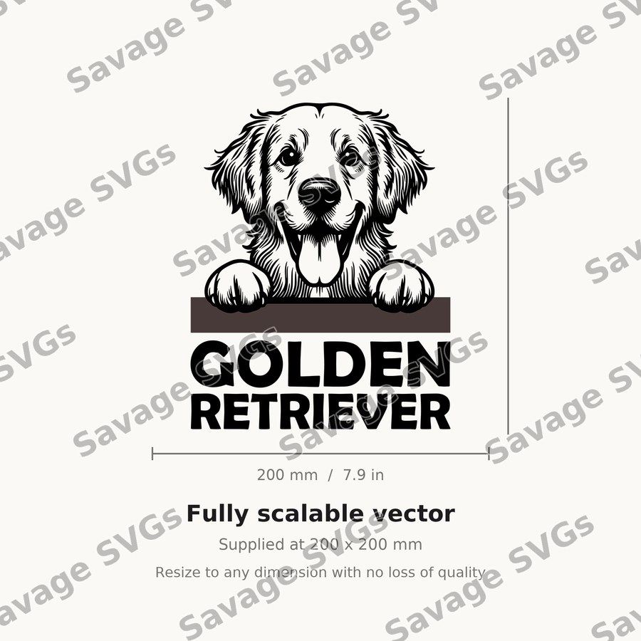Golden Retriever Peeking