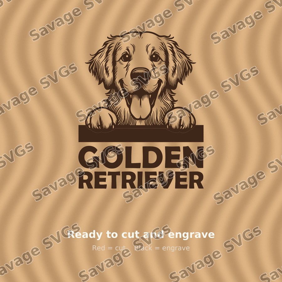 Golden Retriever Peeking