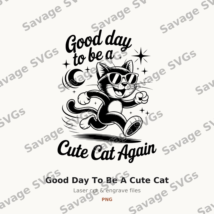 Good Day To Be A Cute Cat