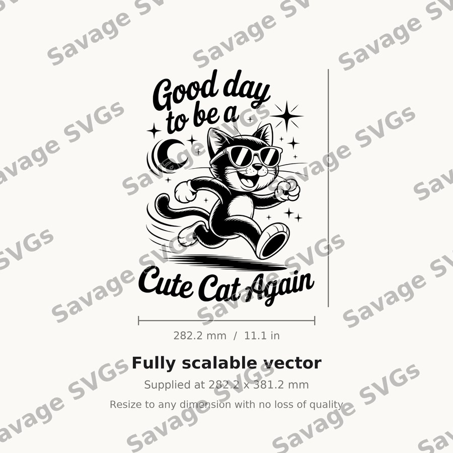 Good Day To Be A Cute Cat