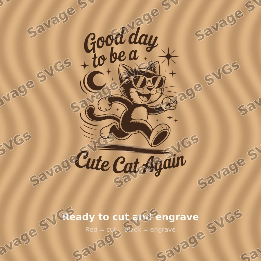 Good Day To Be A Cute Cat