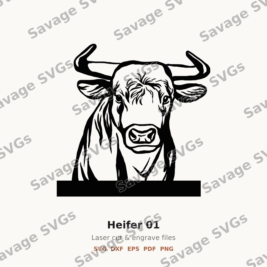 Heifer 01