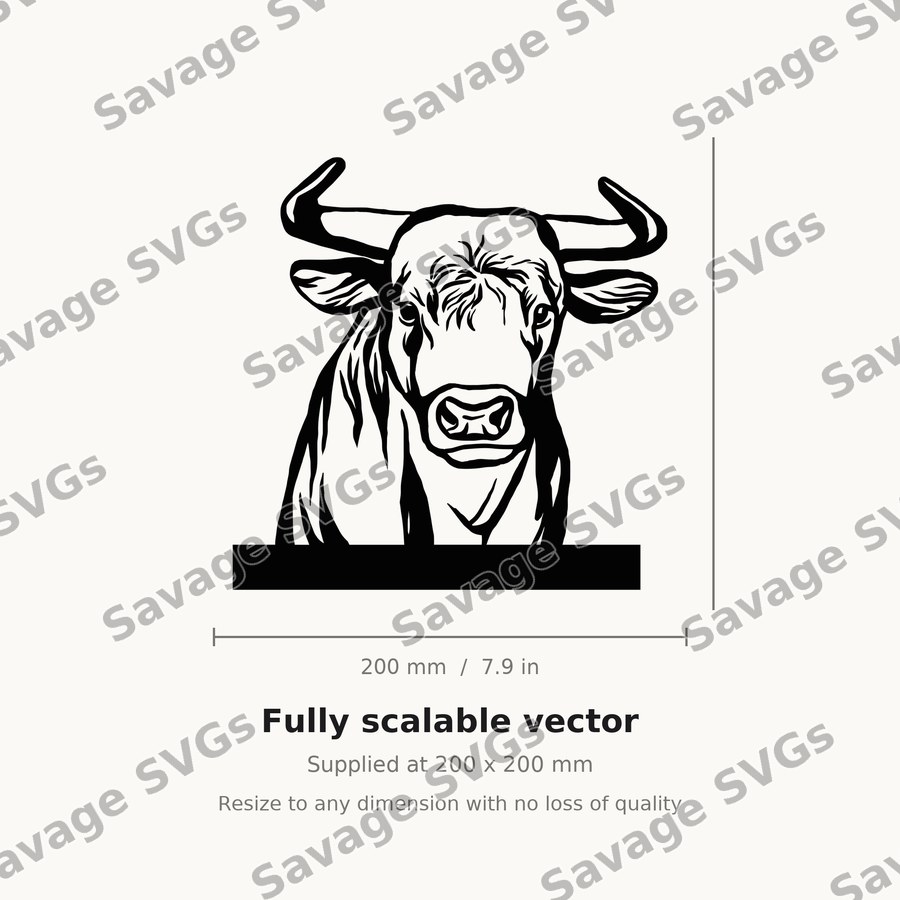 Heifer 01