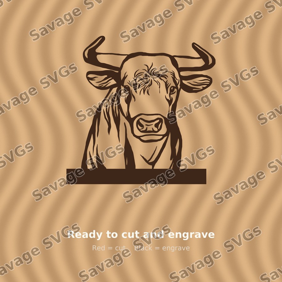 Heifer 01