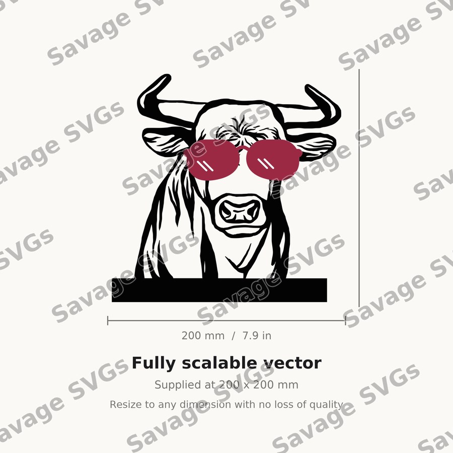 Heifer 01