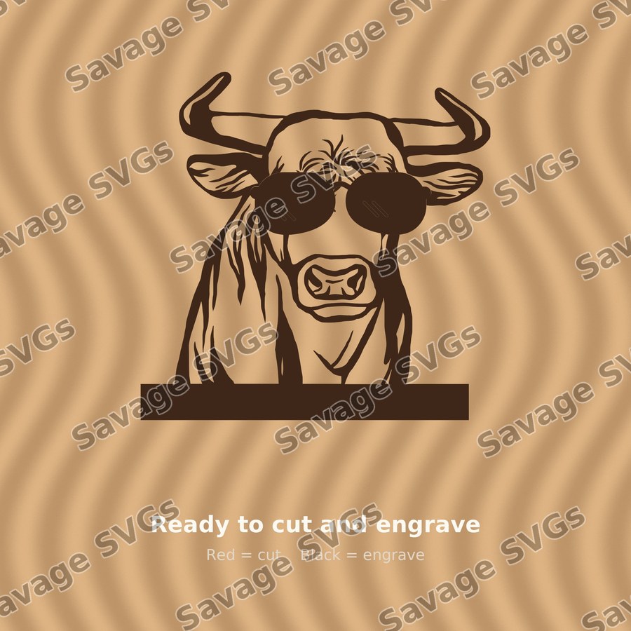 Heifer 01