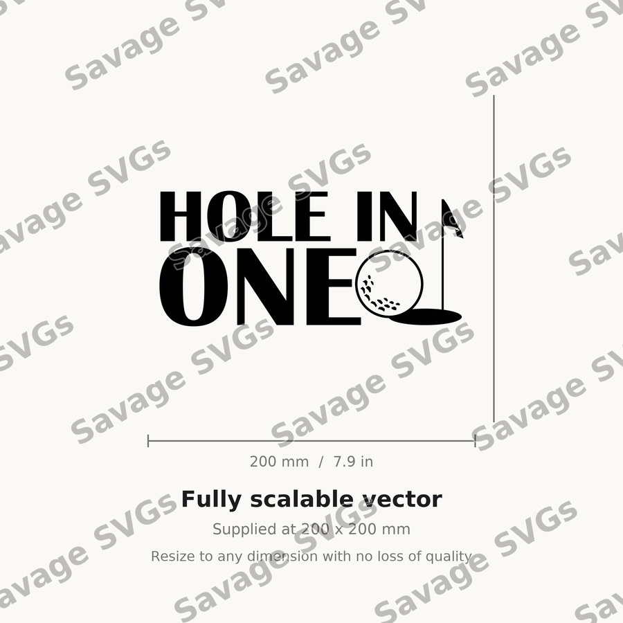Hole In One