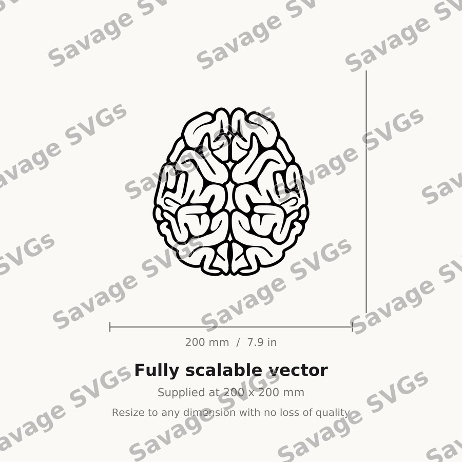 Human Brain