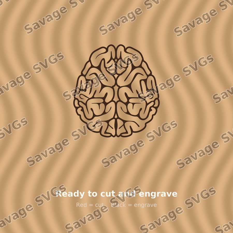 Human Brain