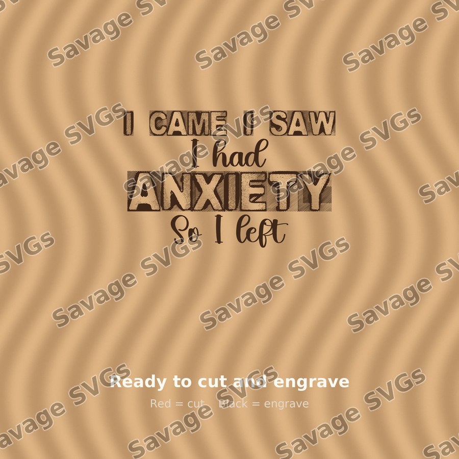 I Came I Saw I Had Anxiety
