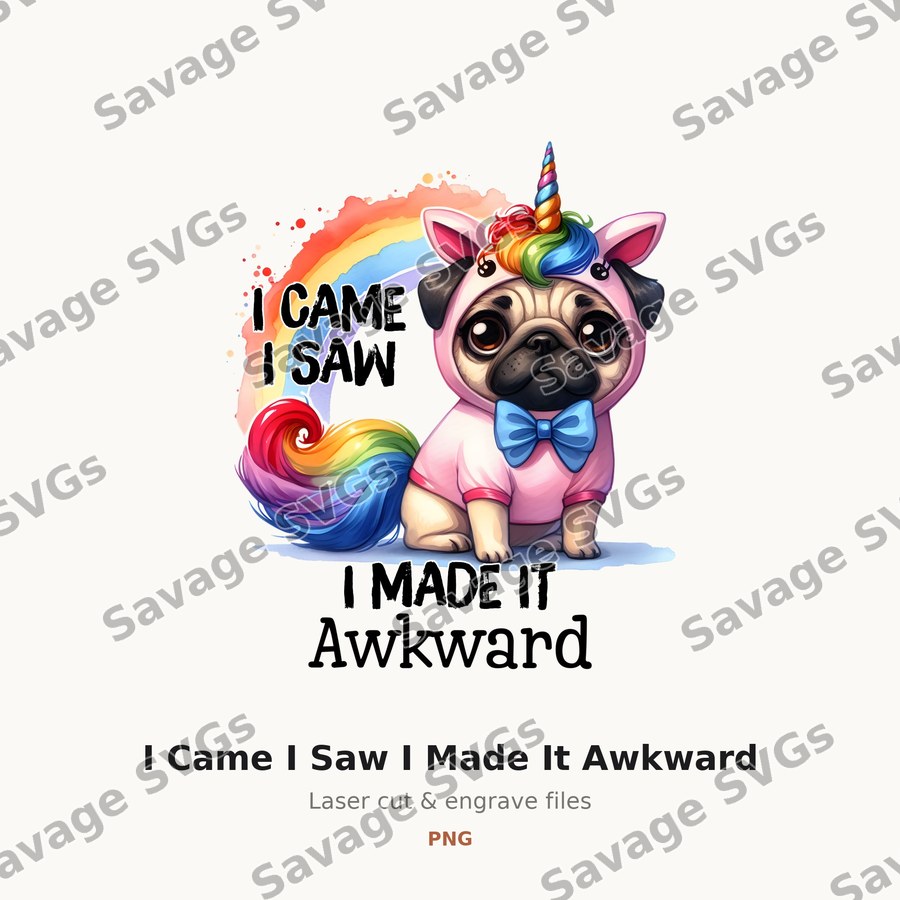 I Came I Saw I Made It Awkward