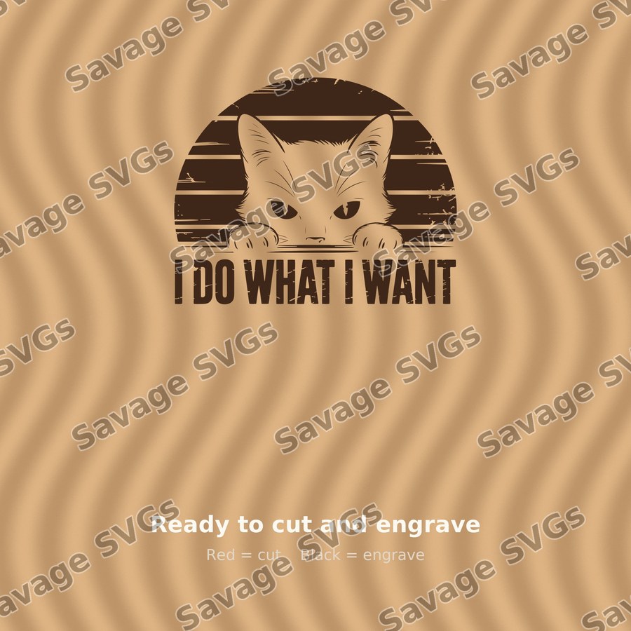 I Do What I Want Cat
