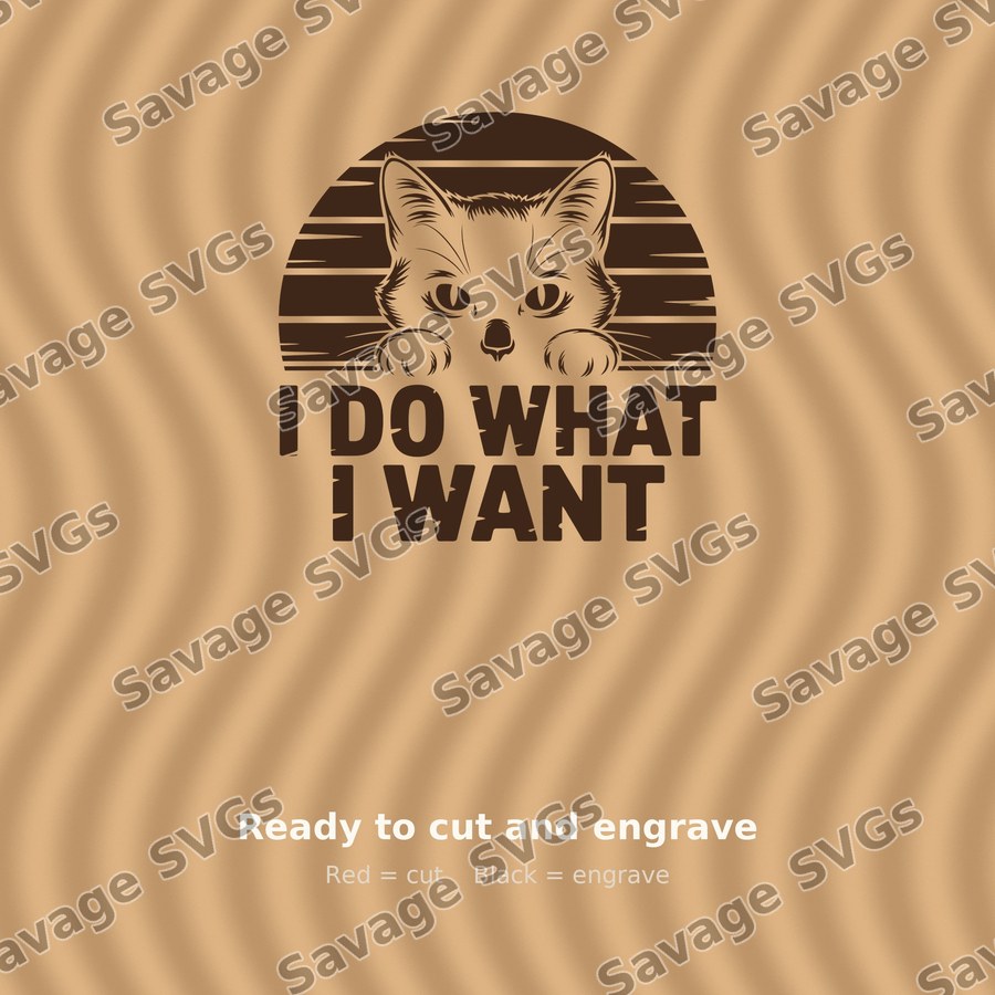 I Do What I Want Cat