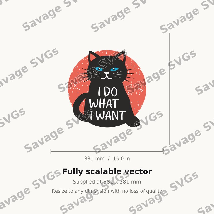 I Do What I Want Cat