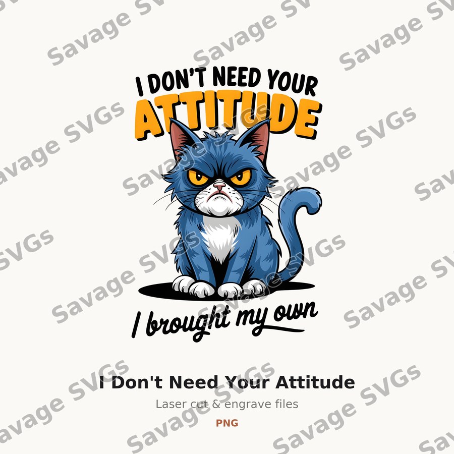 I Don't Need Your Attitude