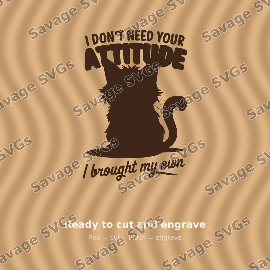 I Don't Need Your Attitude